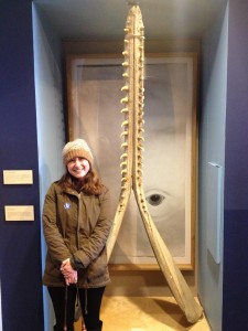 Myself and a sperm whale mandible Photo Credit: Nick Jouett