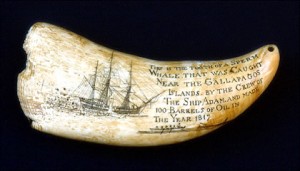 Photo courtesy of the New Bedford Whaling Museum